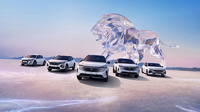 Bis zu 6000 € staatliche Förderprämie für E-Autos und Plug-in-Hybride*