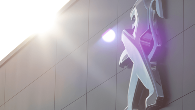 Unsere aktuellen Aktionen