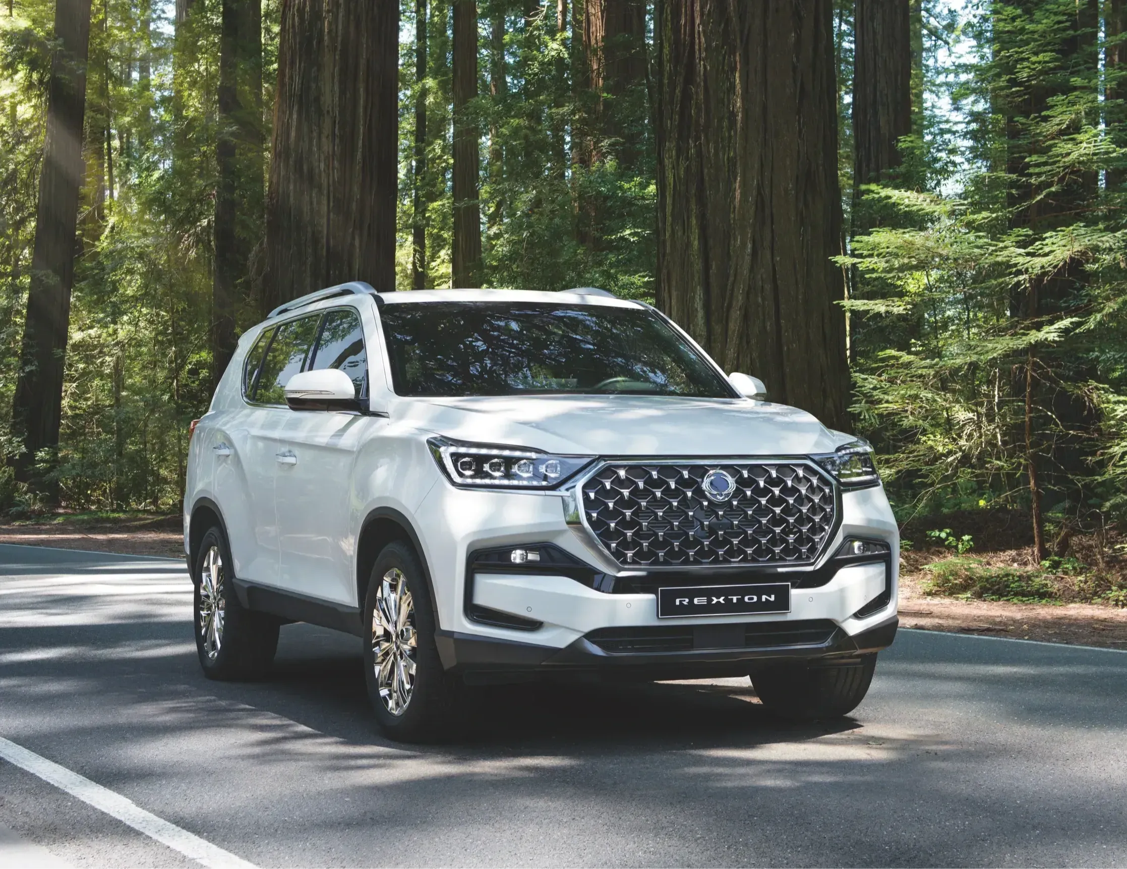 White Rexton