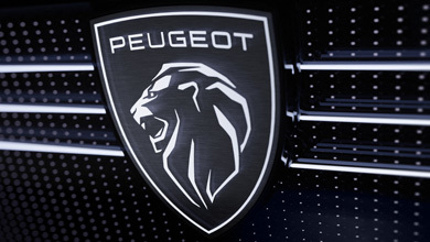 Открийте гамата