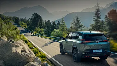 Citroen Sommer-Check