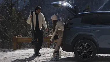 Citroen Winter-Check